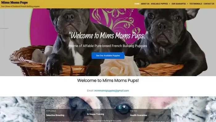 Screenshot of