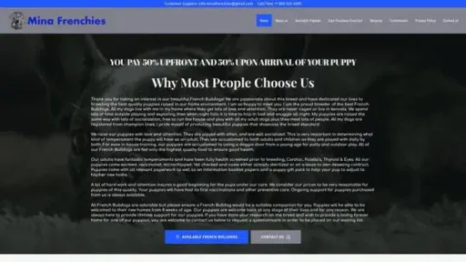 Screenshot of