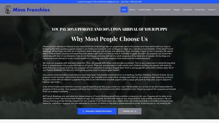 Screenshot of