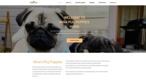 Screenshot of