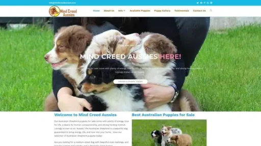 Screenshot of