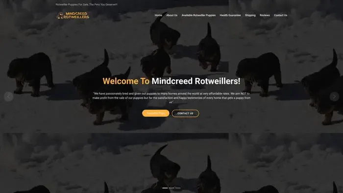 Screenshot of