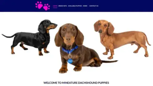 Screenshot of