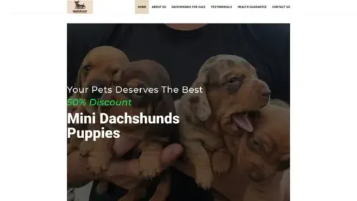 Screenshot of