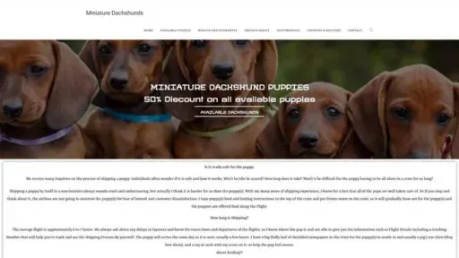 Screenshot of