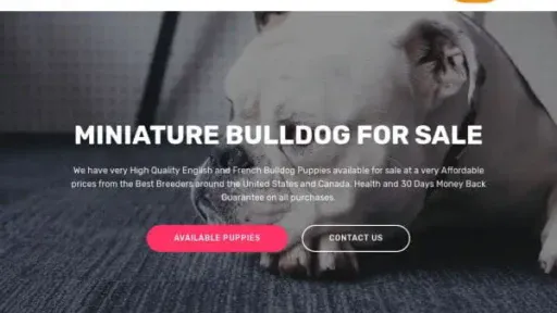 Screenshot of