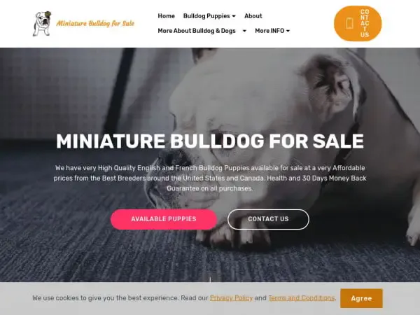 Screenshot of