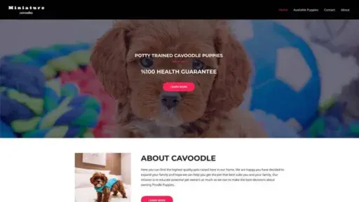 Screenshot of