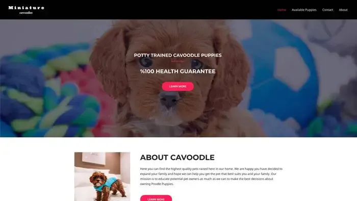 Screenshot of