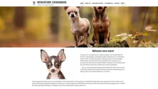 Screenshot of||