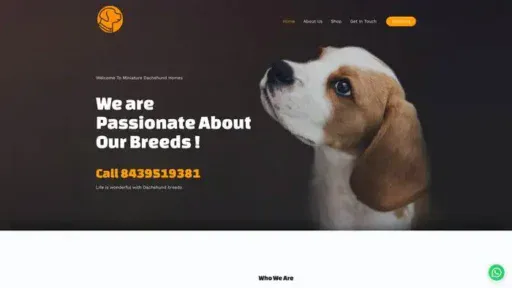 Screenshot of