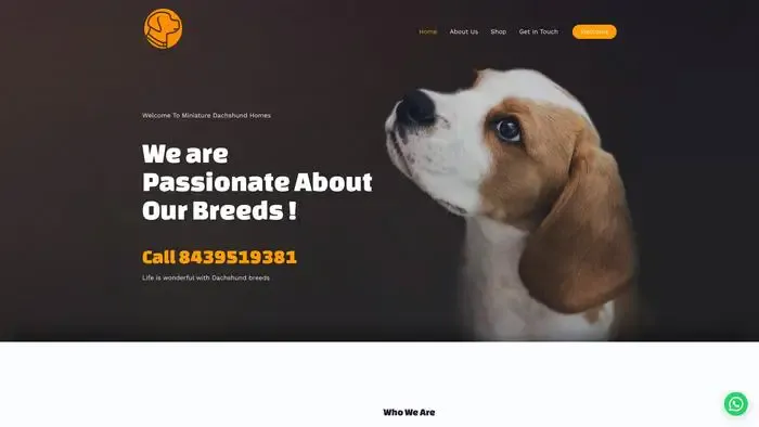 Screenshot of