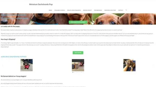 Screenshot of