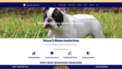 Screenshot of