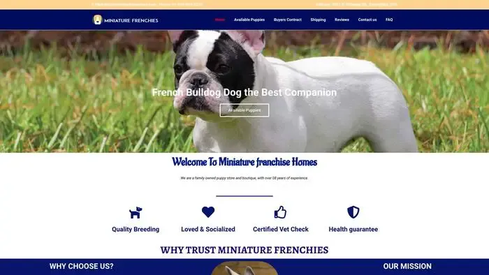 Screenshot of