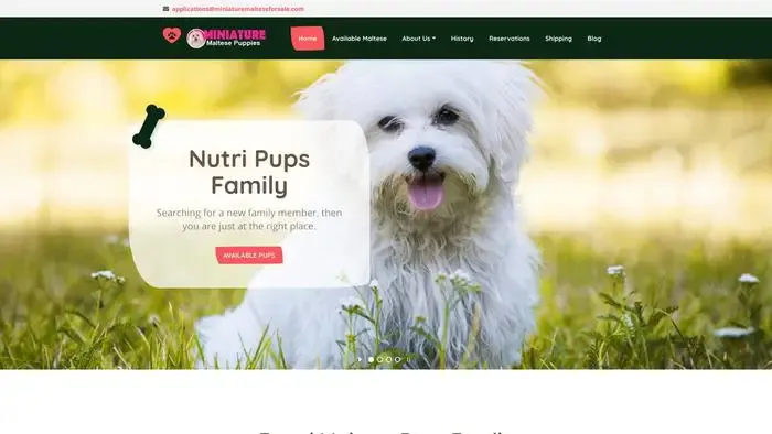 Screenshot of