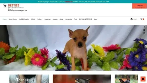 Screenshot of