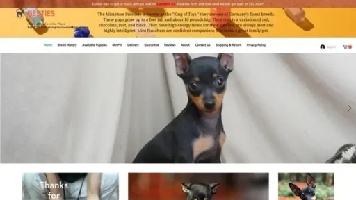 Screenshot of