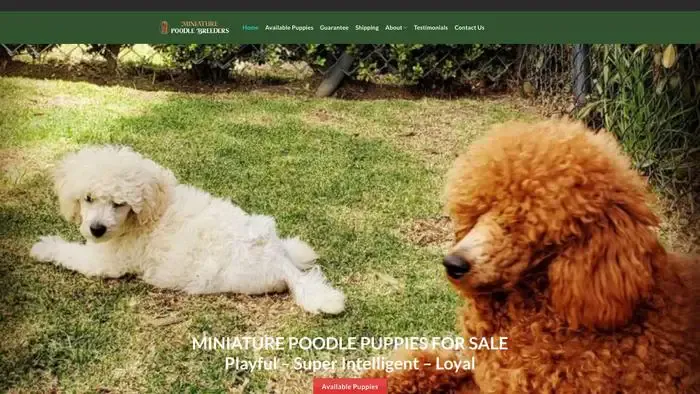 Screenshot of