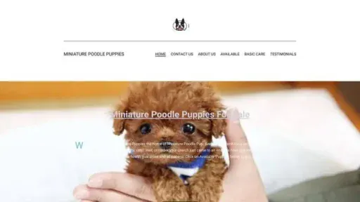 Screenshot of