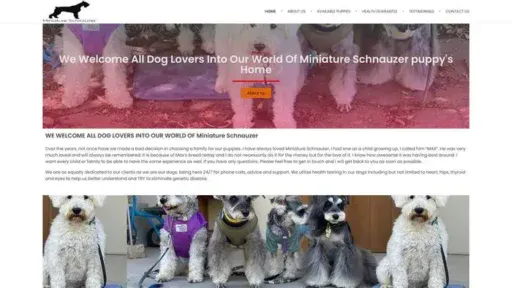 Screenshot of