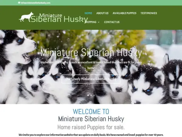 Screenshot of