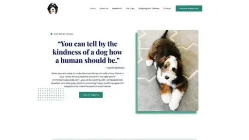Screenshot of