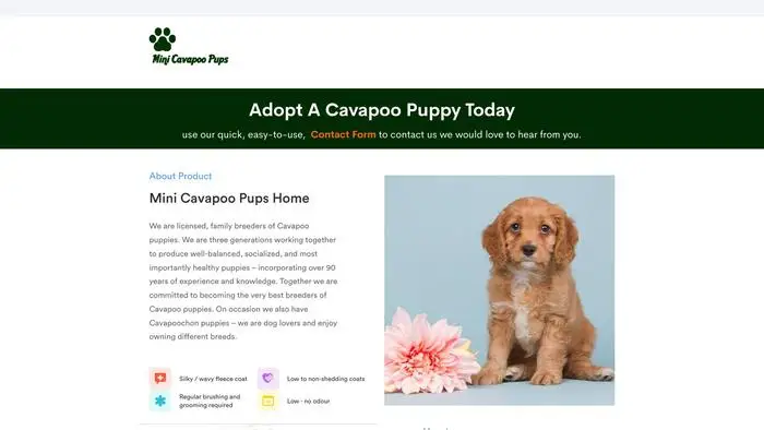 Screenshot of