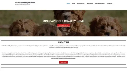 Screenshot of