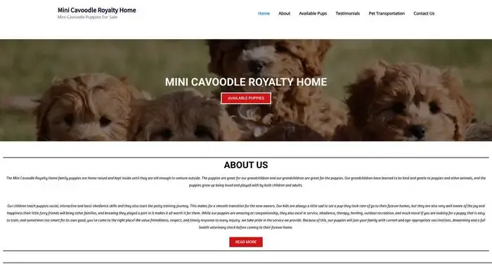 Screenshot of