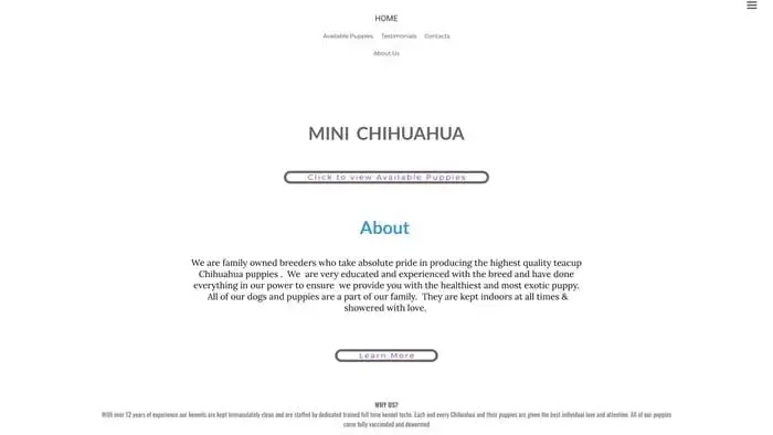 Screenshot of