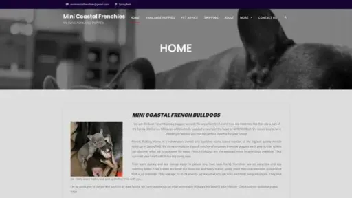 Screenshot of