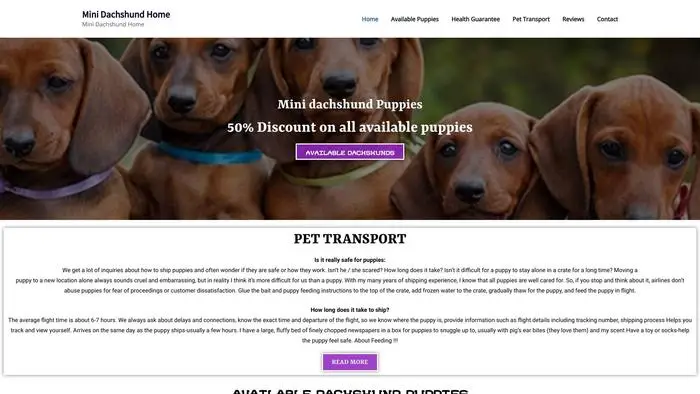 Screenshot of