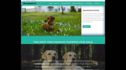 Screenshot of||