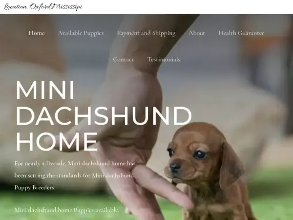 Screenshot of