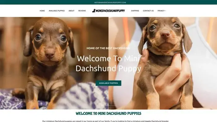 Screenshot of