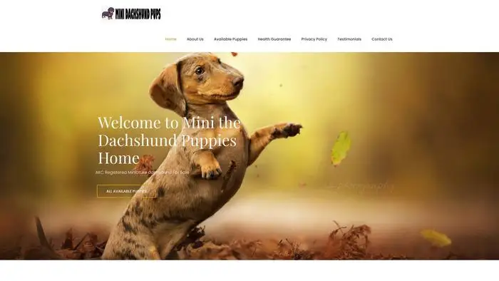 Screenshot of