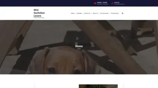 Screenshot of