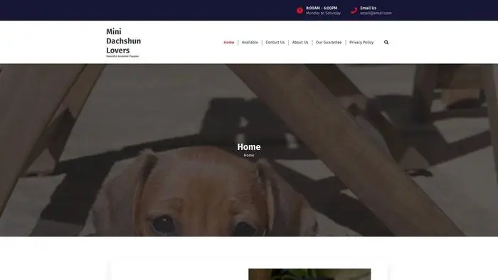 Screenshot of
