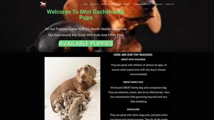 Screenshot of