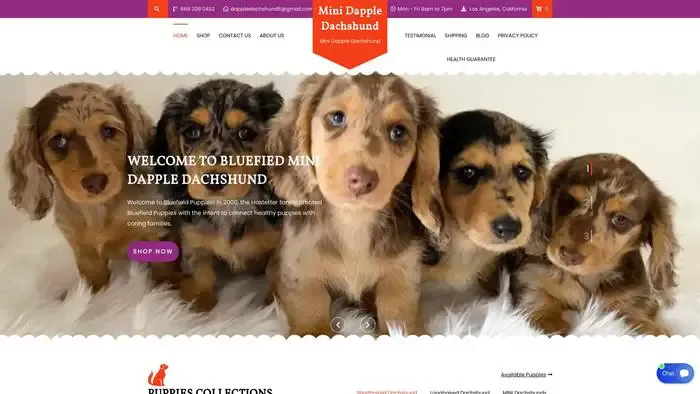 Screenshot of