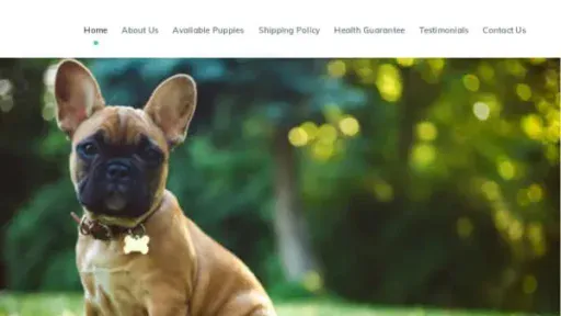 Screenshot of