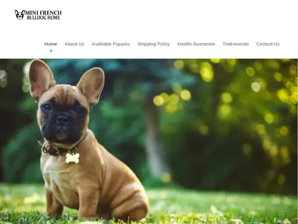 Screenshot of