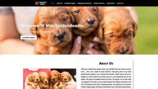 Screenshot of