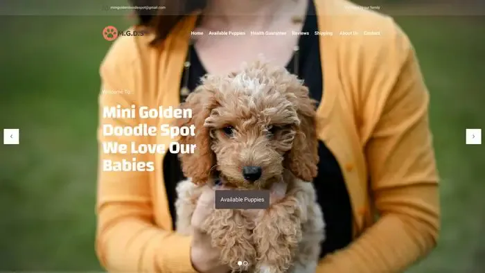 Screenshot of
