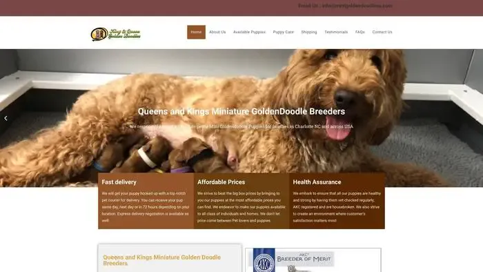 Screenshot of