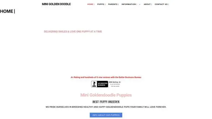 Screenshot of