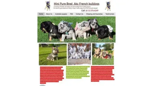 Screenshot of