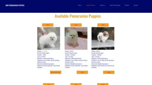 Screenshot of