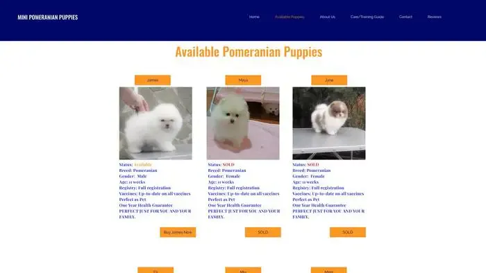 Screenshot of